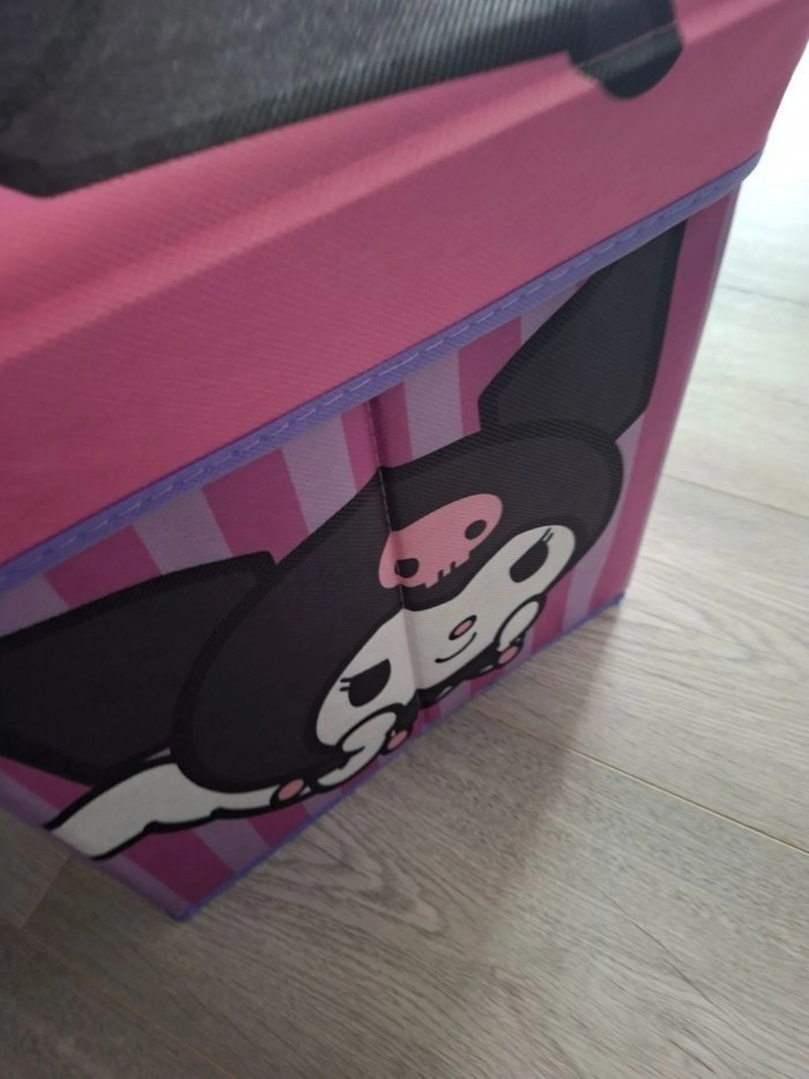 Kuromi – photo 4